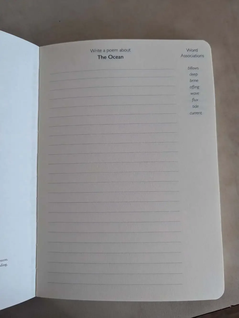 Write the Poem - Small - Lined both Sides by Piccadilly Enterprises Inc.Staff
